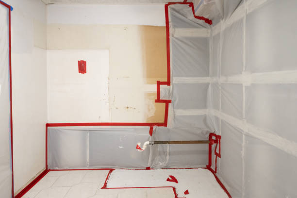 Best Post-Construction Mold Inspection  in Bedford, IA