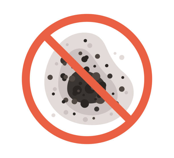 Best Residential Mold Inspection & Testing  in Bedford, IA