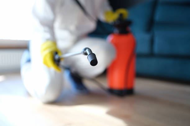 Best HVAC Mold Inspection and Cleaning  in Bedford, IA