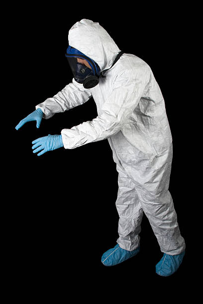 Best Attic Mold Removal  in Bedford, IA