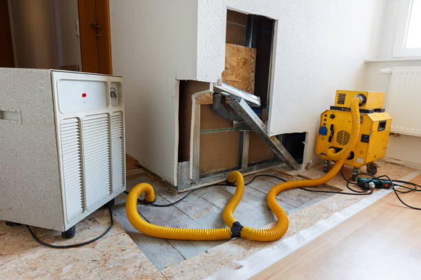Best Forensic Mold Investigation  in Bedford, IA