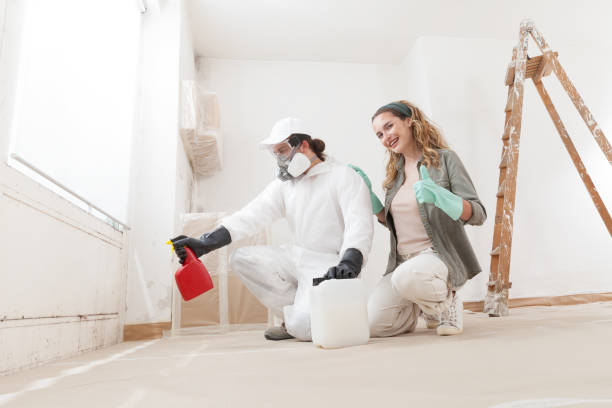 Best Mold-Related Health Consultation  in Bedford, IA